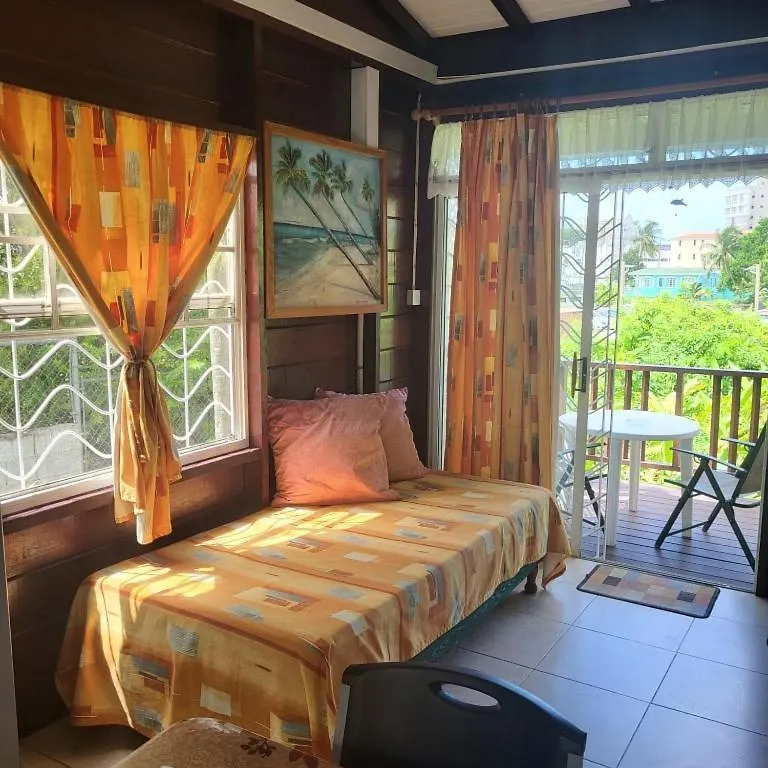 Dolphin Inn Guesthouse & Apartments Christ Church 0*,