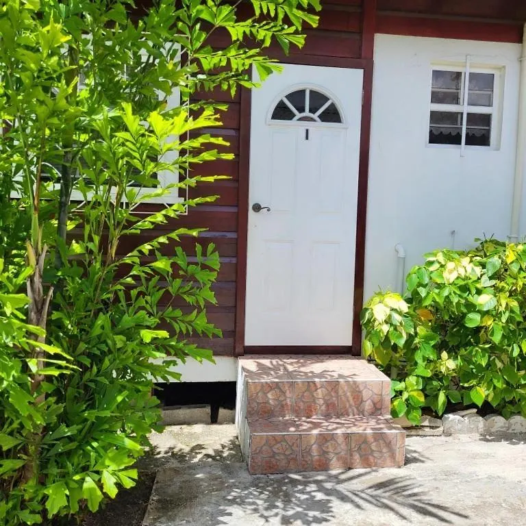 Dolphin Inn Guesthouse & Apartments Christ Church 0*,  Barbados