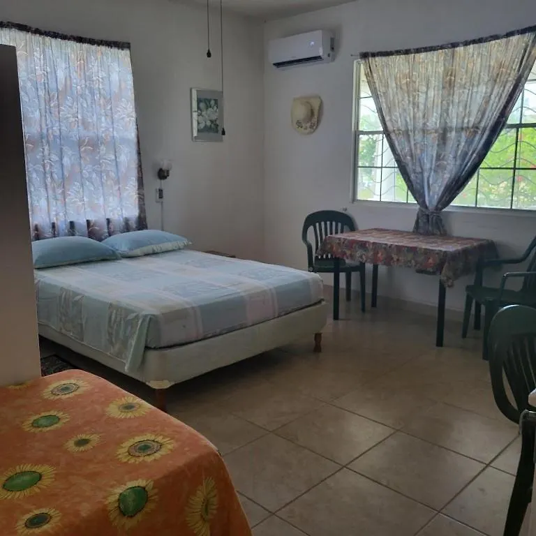 Dolphin Inn Guesthouse & Apartments Christ Church
