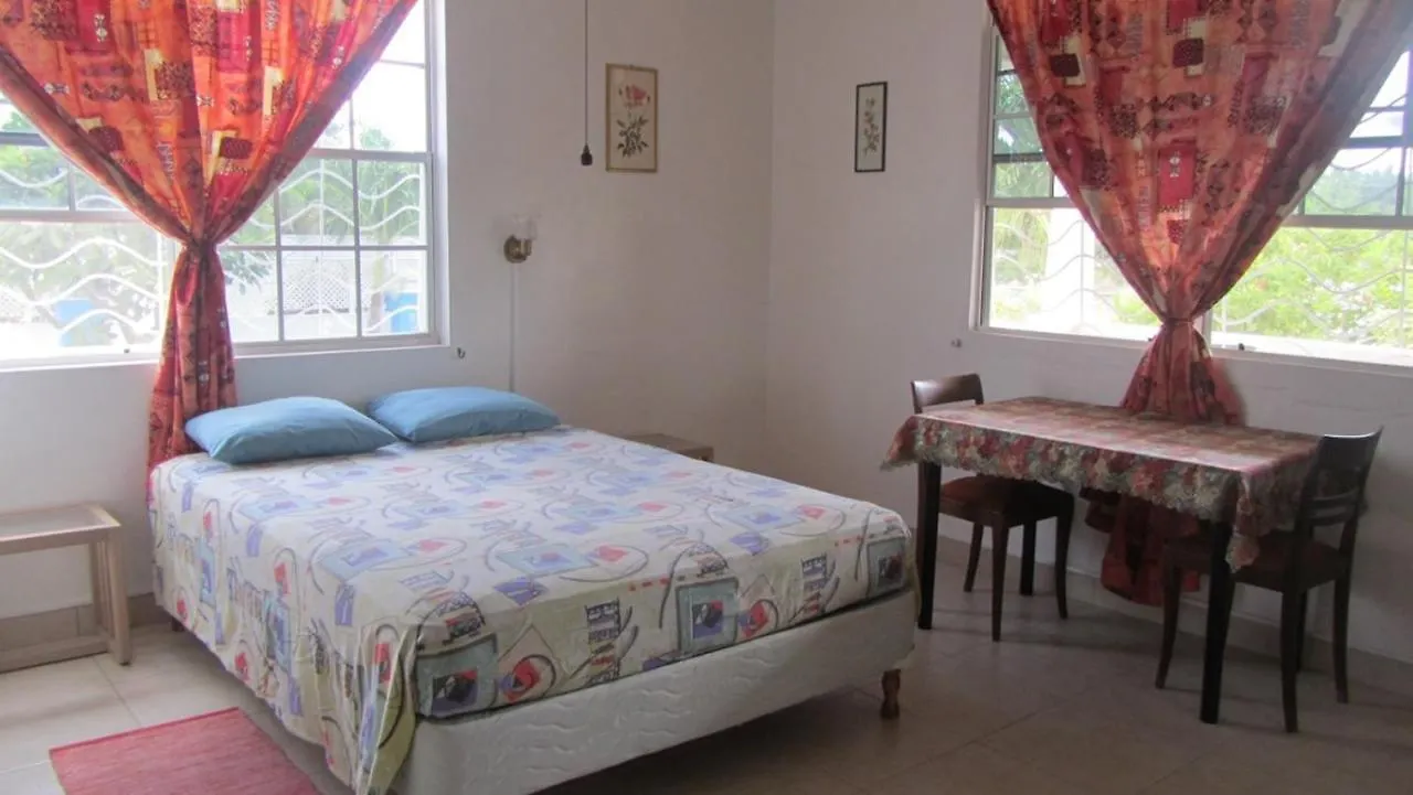 Dolphin Inn Guesthouse & Apartments Christ Church Pensionat
