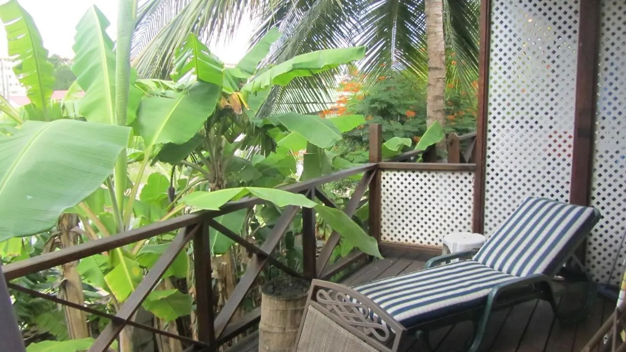 Pensionat Dolphin Inn Guesthouse & Apartments Christ Church