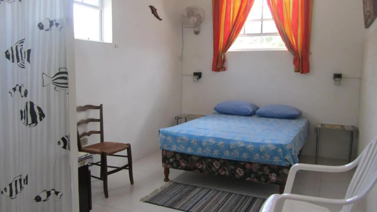 Dolphin Inn Guesthouse & Apartments Christ Church Pensionat