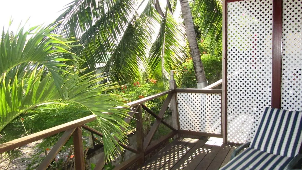Dolphin Inn Guesthouse & Apartments Christ Church