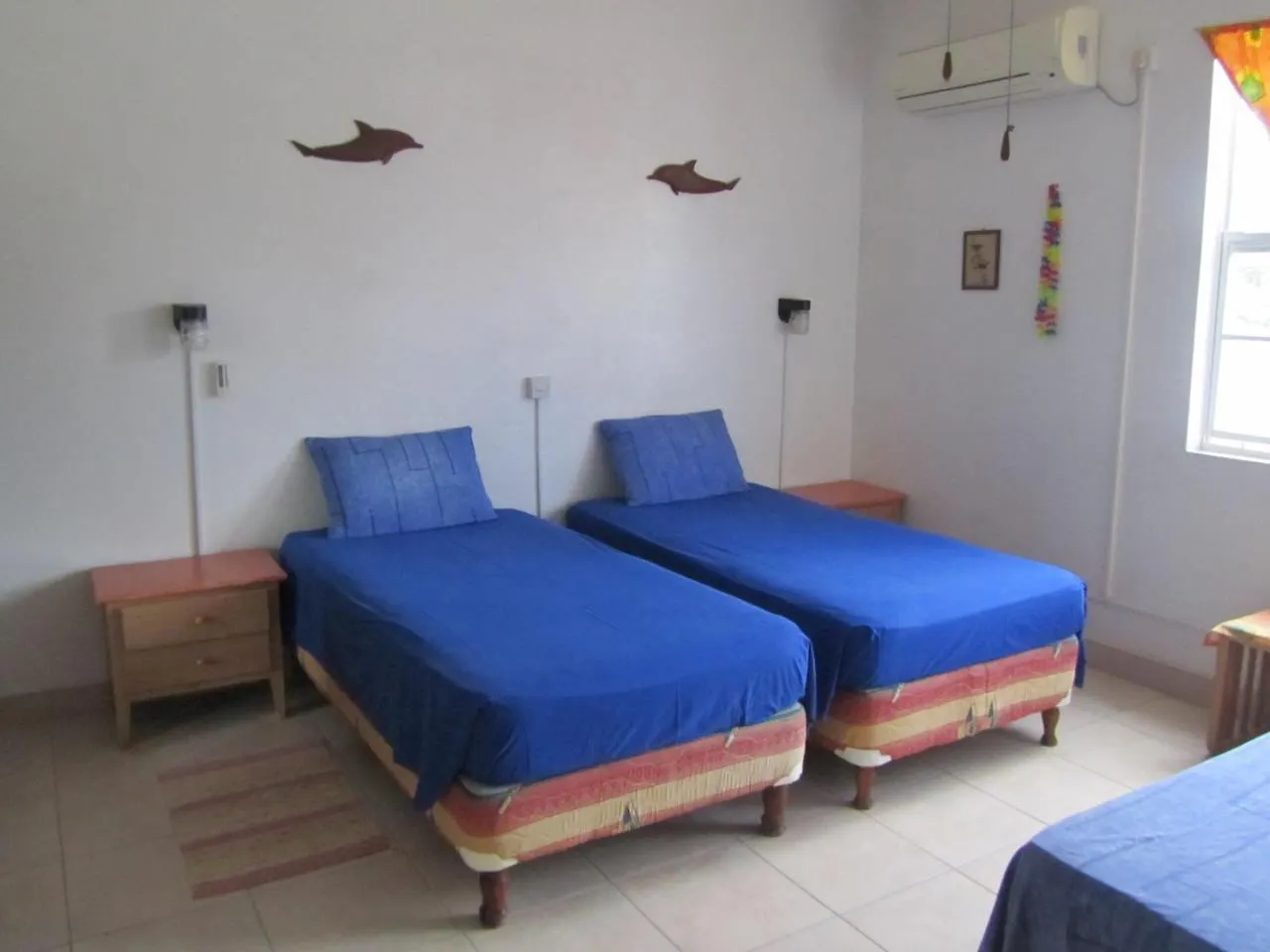 Dolphin Inn Guesthouse & Apartments Christ Church