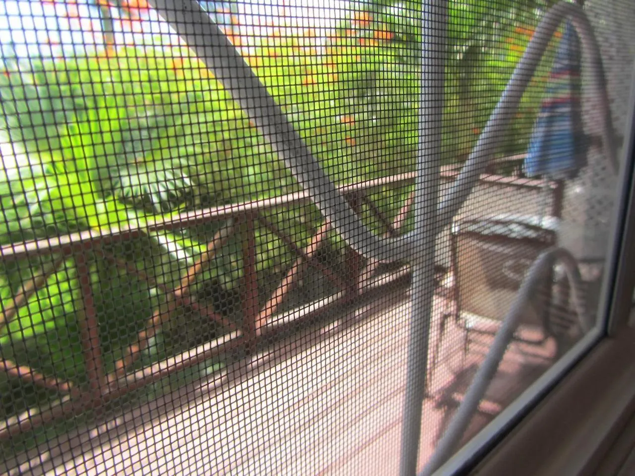 Dolphin Inn Guesthouse & Apartments Christ Church Barbados