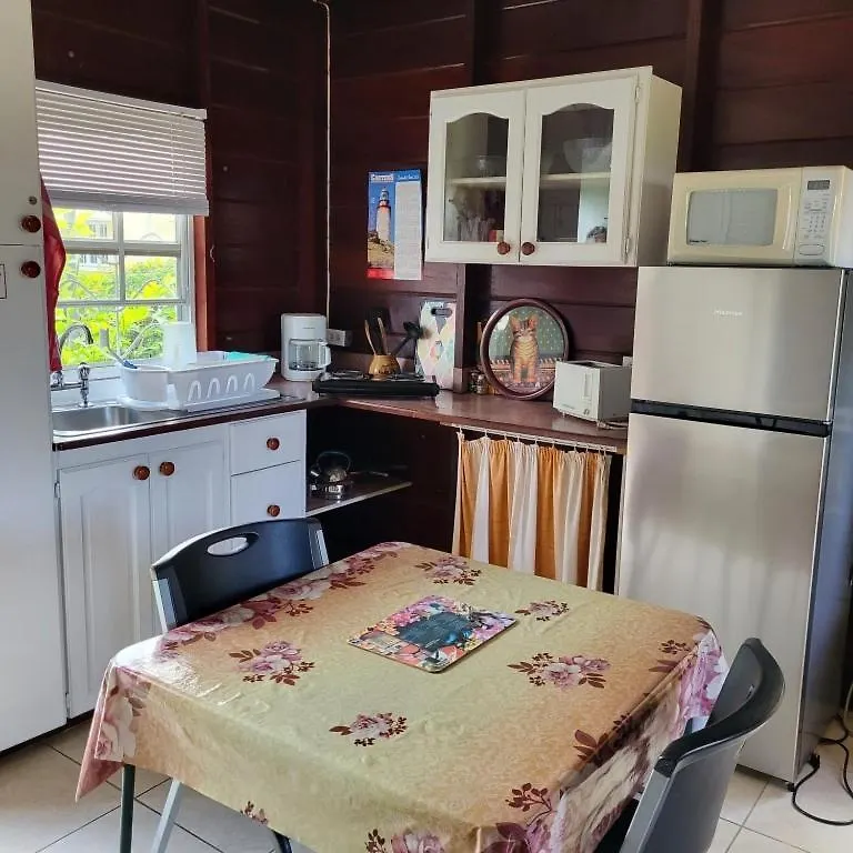 Guest house Dolphin Inn Guesthouse & Apartments Christ Church