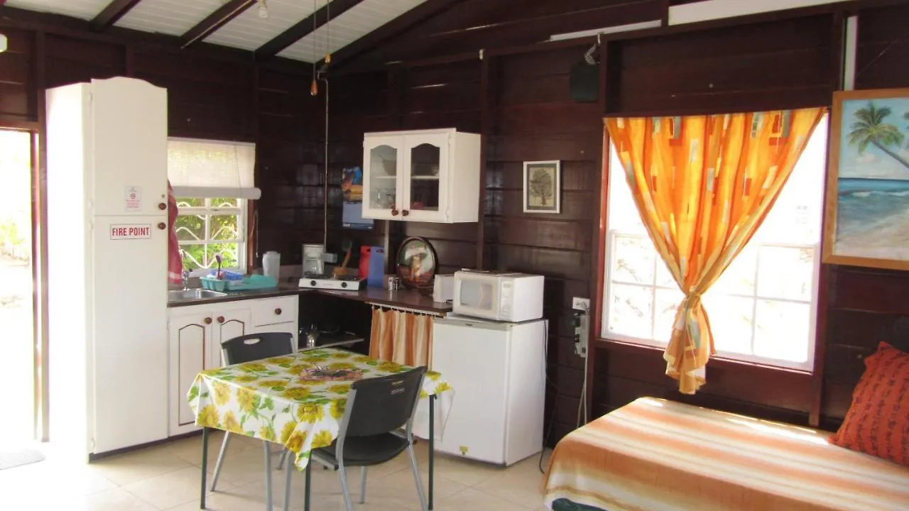 Dolphin Inn Guesthouse & Apartments Christ Church Guest house