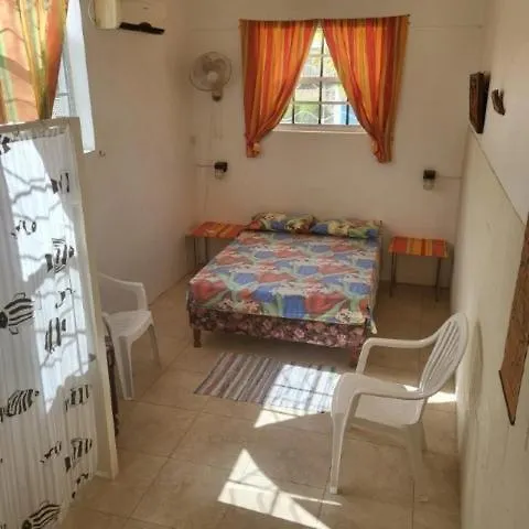 Dolphin Inn Guesthouse & Apartments Christ Church Guest house