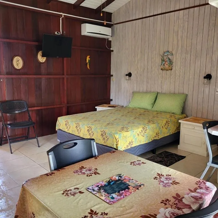 Dolphin Inn Guesthouse & Apartments Christ Church Barbados