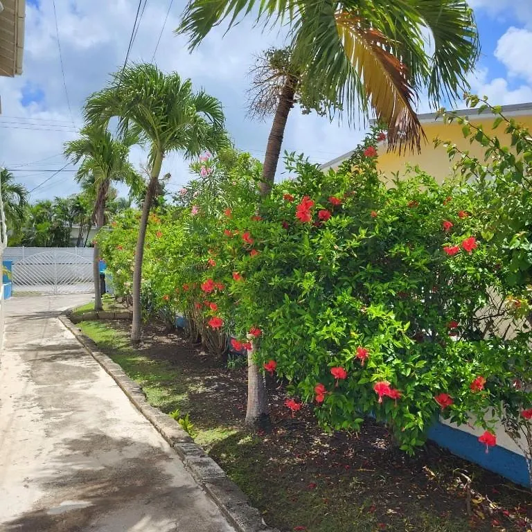 Dolphin Inn Guesthouse & Apartments Christ Church Guest house