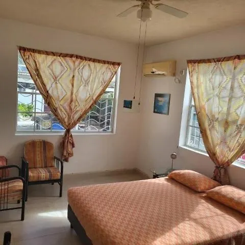 Dolphin Inn Guesthouse & Apartments Christ Church