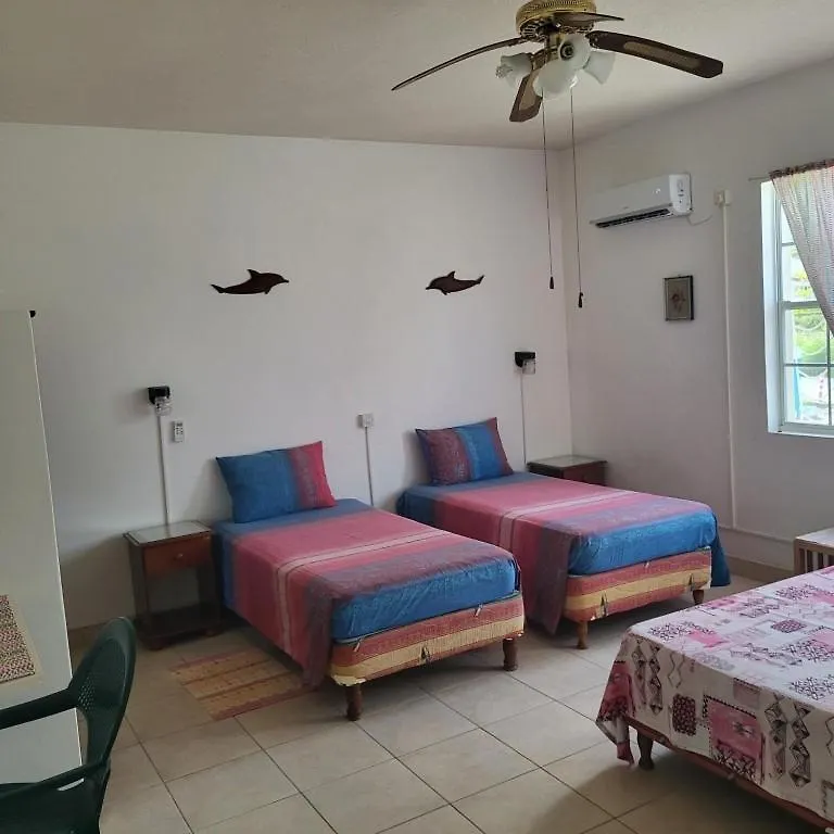 Guest house Dolphin Inn Guesthouse & Apartments Christ Church