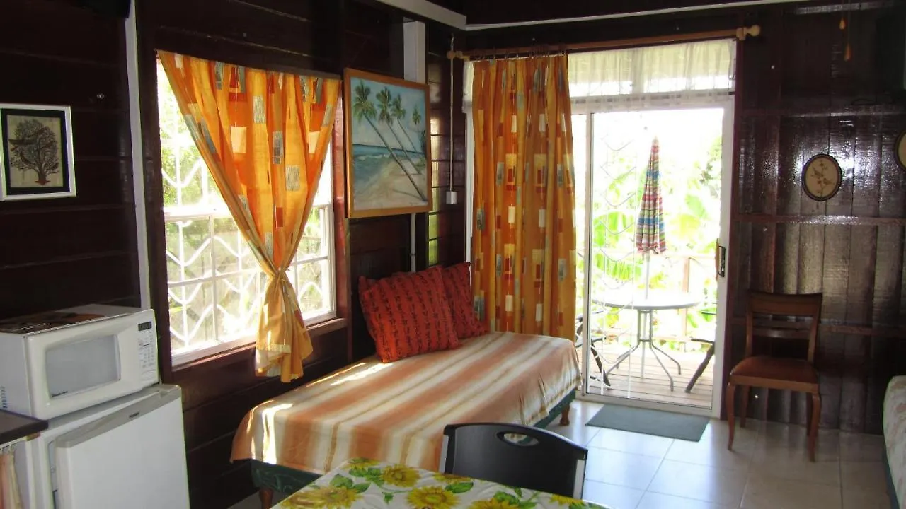 Dolphin Inn Guesthouse & Apartments Christ Church 0*,  Barbados