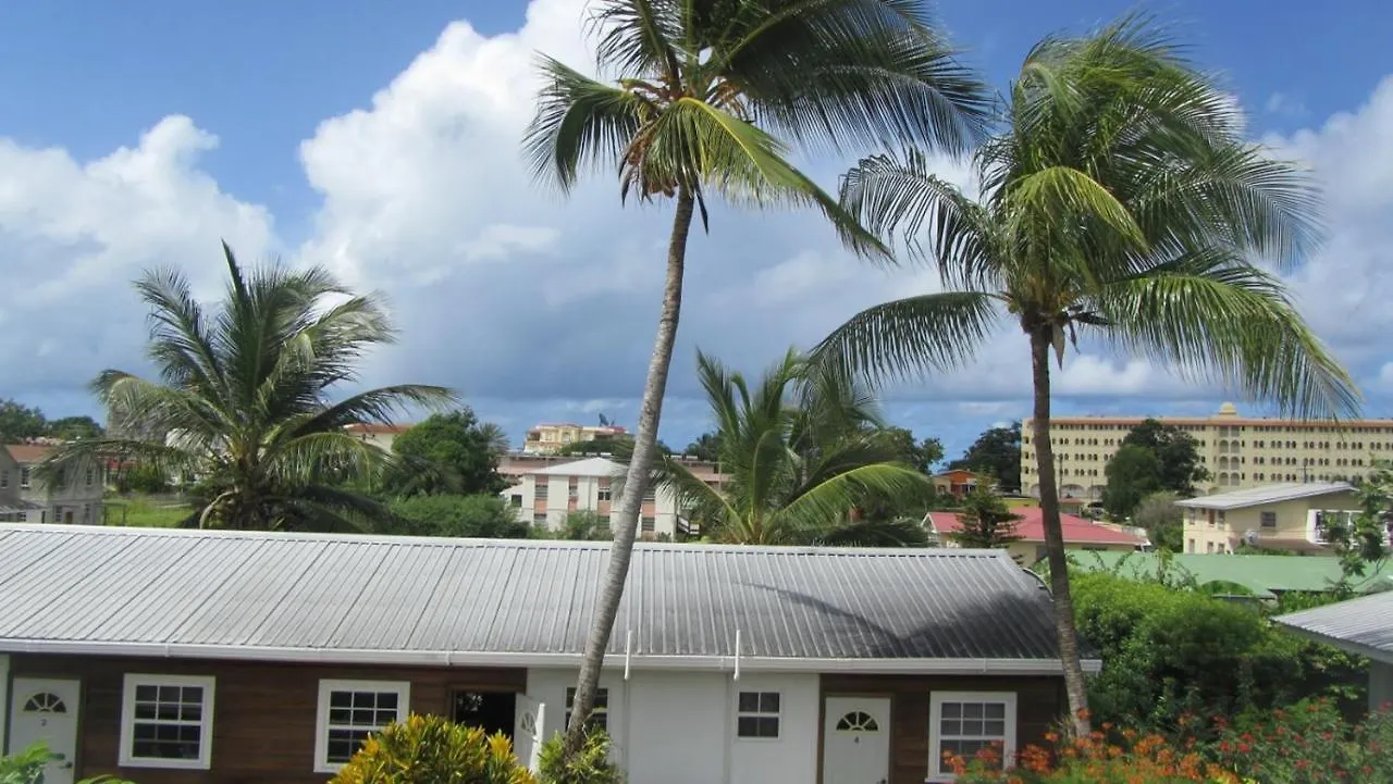 Dolphin Inn Guesthouse & Apartments Christ Church