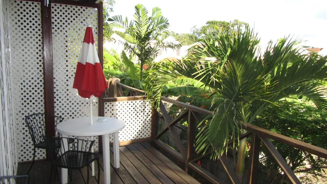 Dolphin Inn Guesthouse & Apartments Christ Church
