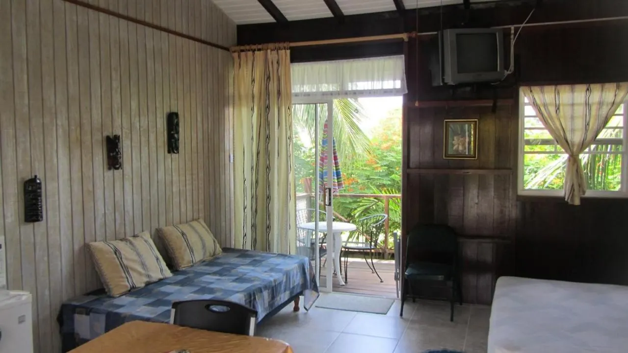 Dolphin Inn Guesthouse & Apartments Christ Church Barbados