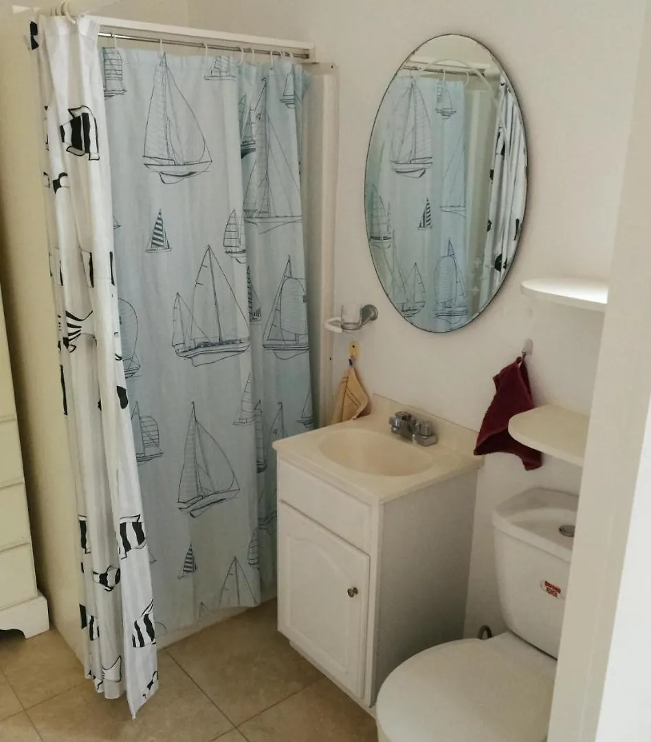 Guest house Dolphin Inn Guesthouse & Apartments Christ Church