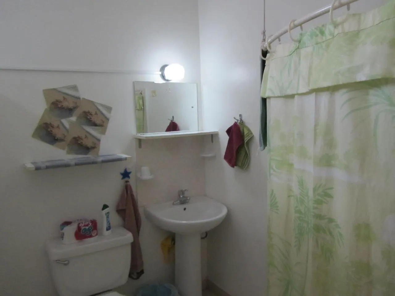 Guest house Dolphin Inn Guesthouse & Apartments Christ Church Barbados