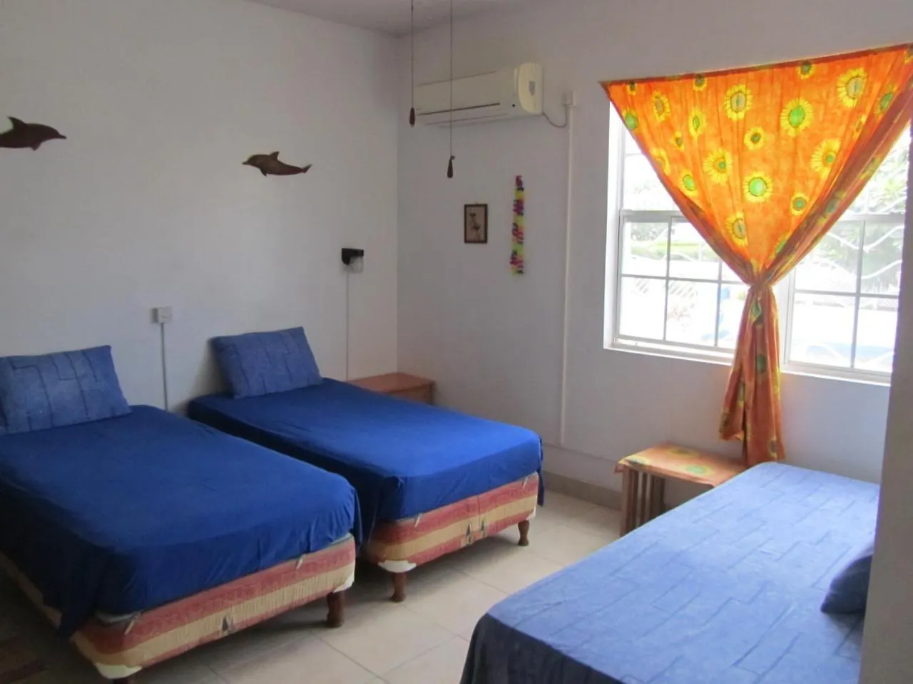 Guest house Dolphin Inn Guesthouse & Apartments Christ Church