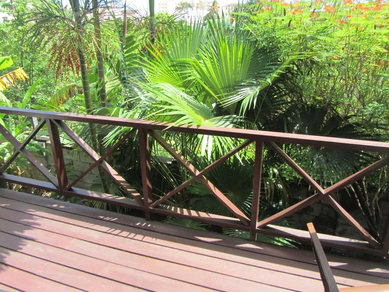 Dolphin Inn Guesthouse & Apartments Christ Church