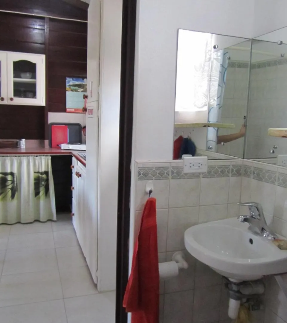 Dolphin Inn Guesthouse & Apartments Christ Church 0*,